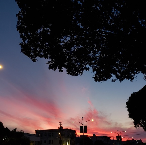 Meet your Posher, T - Picture 7 of 8